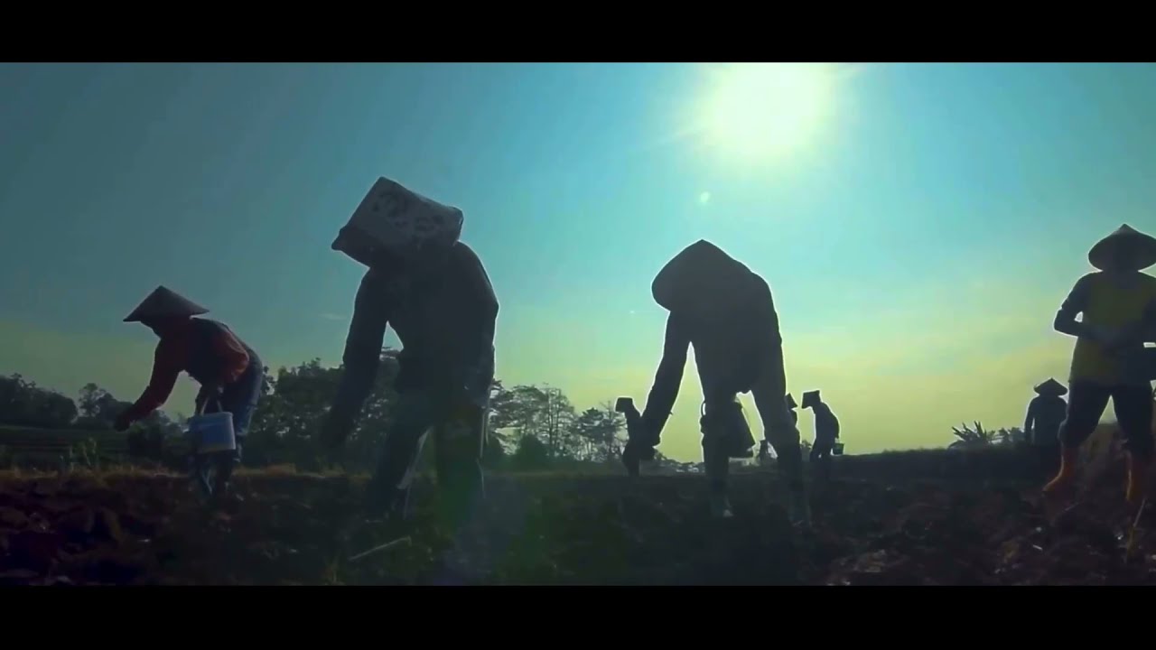 Juara 1 Lomba Video Dokumenter Laporan KKN Unisnu Jepara Angkatan X