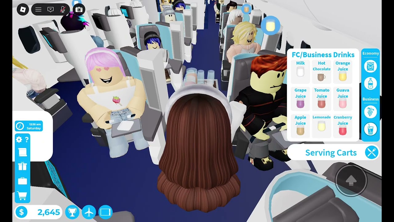 Cabin crew simulator (requested)