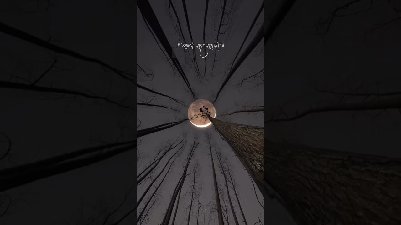 Lord Krishna flute tune || whatsapp status || Asthetic Status ||