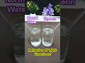 Refraction Of Light Experiment | Glass Rod In Water vs Glycerin | Refractive Index Experiment #optic