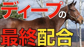 ディープインパクト 尾毛 馬毛 【本物】値下げOK ディープインパクト 尾毛 馬毛 【本物】値下げOK ディープ