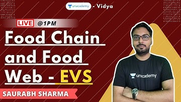 Food chain and food web - EVS | TET |  Saurabh Sharma | Unacademy Vidya