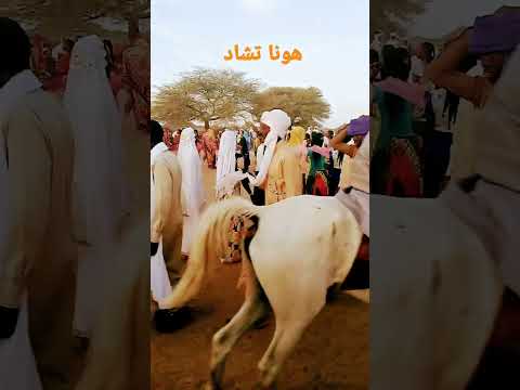 ثقافة تشاد