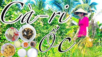 Hương vị xứ dừa - Cà ri Ốc (Snail curry)