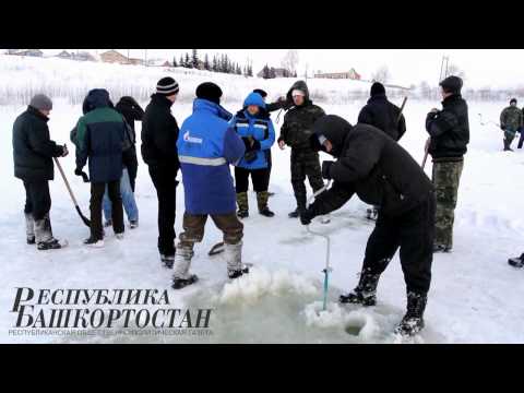 «Спасём рыбу от