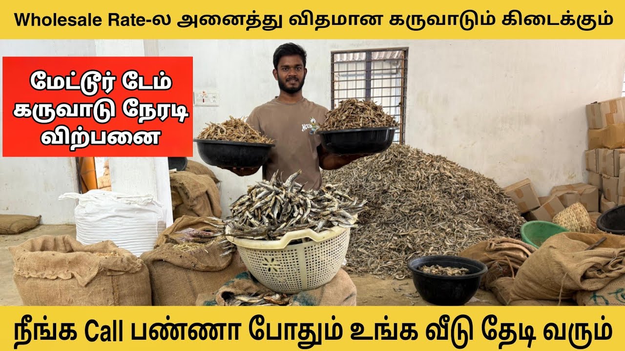 மேட்டூர் டேம் கருவாடு நேரடி விற்பனை |  Wholesale Rate - ல அனைத்து விதமான கருவாடும் கிடைக்கும்