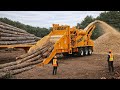 Monster Stump Removal &amp; High-Risk Wood Chippers in Action