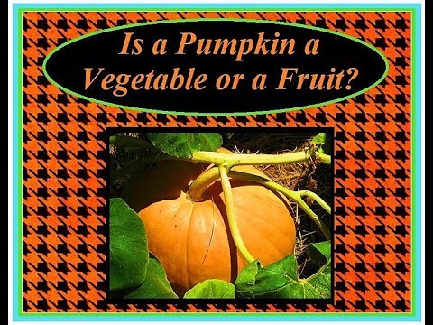 Video: Pumpkin - Winter Vegetable