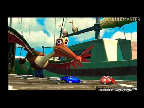 Finding nemo : gull chase with music