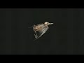 Jenny Hval & Susanna - Meshes of Voice [Full Album]