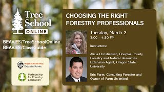 Tree School Online: Choosing the Right Forestry Professionals