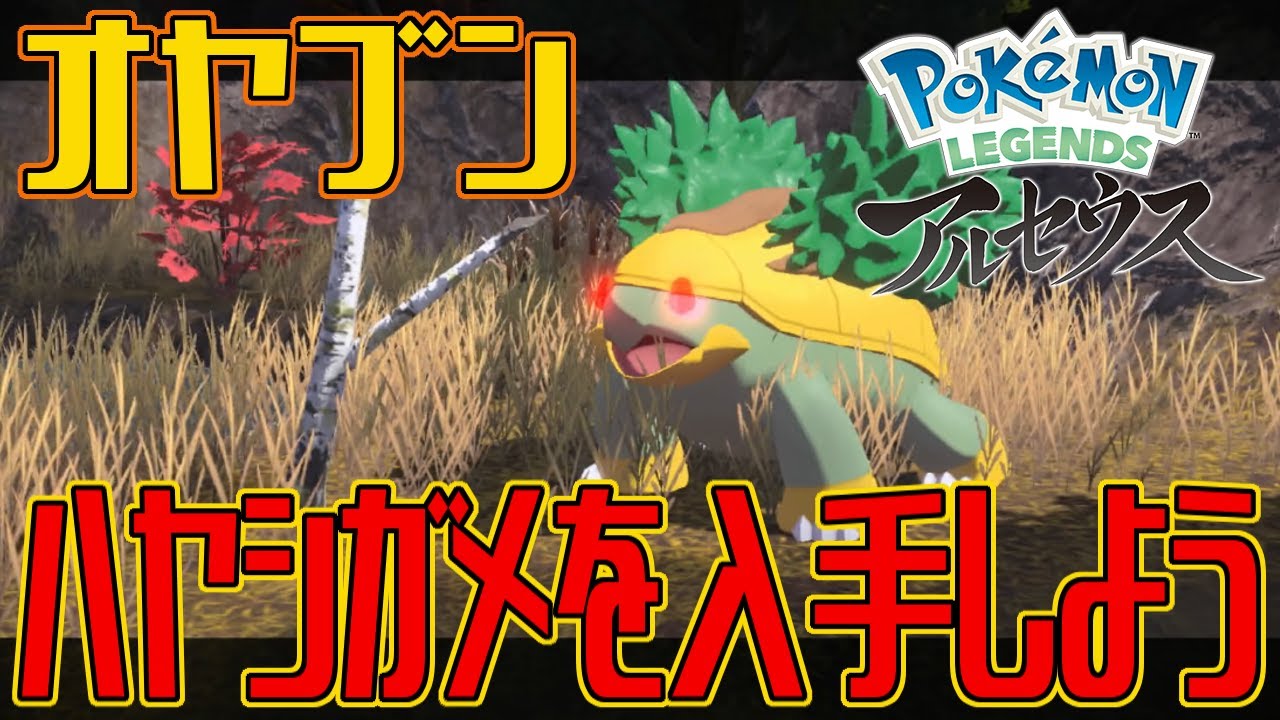 ポケモンアルセウス オヤブンのハヤシガメを入手しよう Pokemon Legends アルセウス Youtube