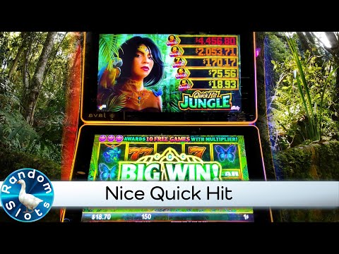 Quick Hit Jungle Slot Machine Nice Quick Hit