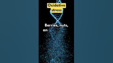 What Is Oxidative Stress and Antioxidants