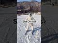 Ski Drills: 1. Plowbogen 2. Plowbogen to parallel 3. Wide parallel 4. Parallel 5. Carving parallel