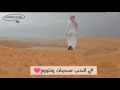 شيلة في الحب صدمات وتلويع