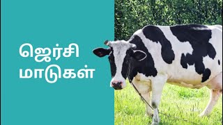 Jersey Dairy Farming Course Trailer in Tamil | ffreedom app screenshot 5