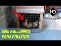 ¿Como hacer un gallinero para hacer dormir a los Pollitos?