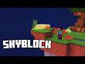 Minecraft Skyblock Sunucusu - Server Tanıtımı - SaloryaNetwork