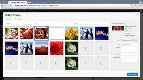 Origin Builder Review - Take a look inside plugin