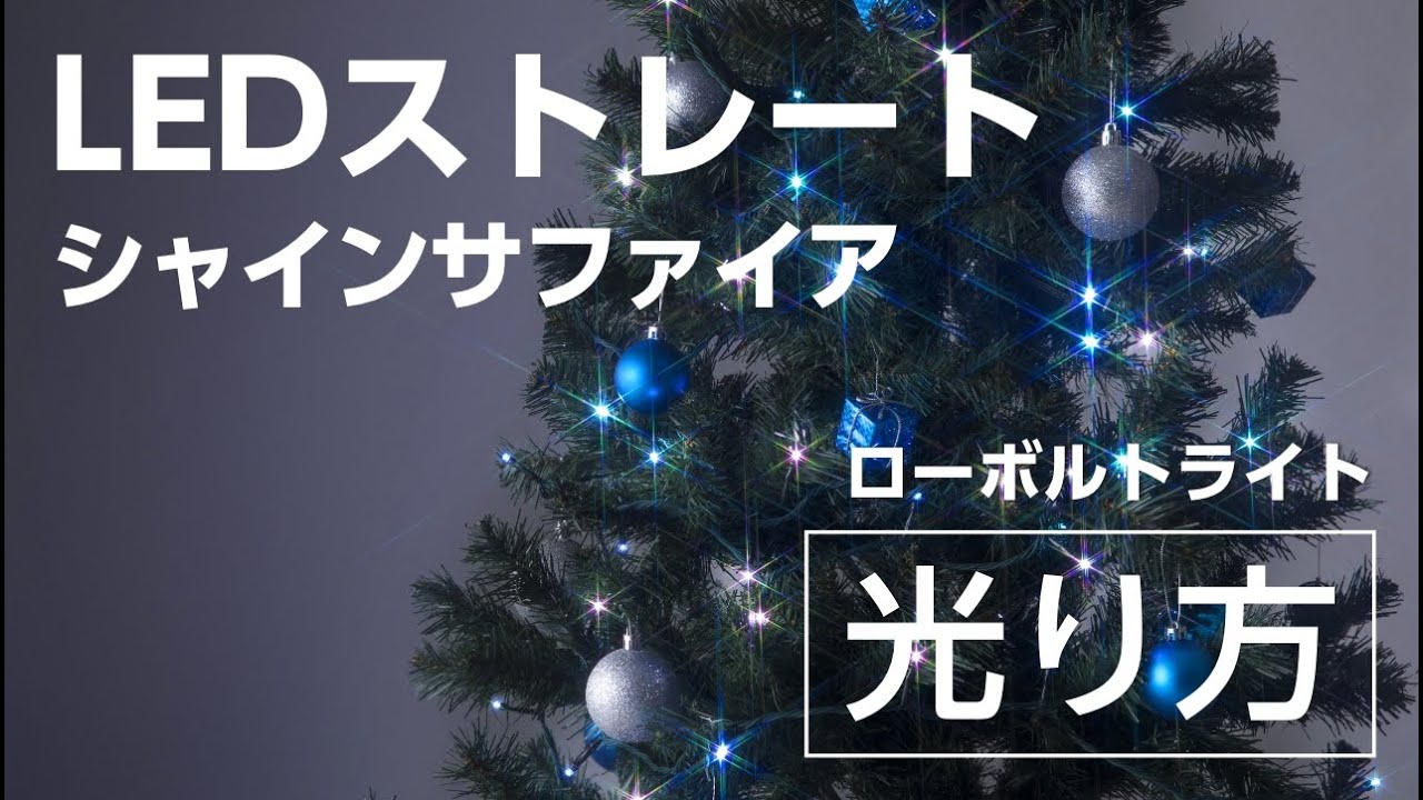 【レアカラー】ジッターバグ 3点(白源氏蛍、黒源氏蛍、レッドボーン) ローボルト LEDストレート 100球シャインサファイア LGT-100SS