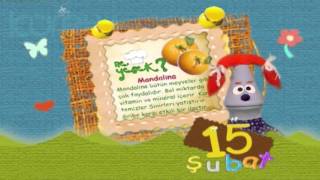 Çedenenin Takvimi - Mandalina Yumurcak - Çizgifilm