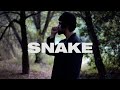 (FREE) Aries Type Beat | Anti Pop Type Beat | &quot;Snake&quot;