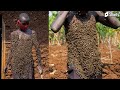 A Man Covered With Thousands Of Bees On His Body
