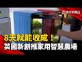 8天就能收成！英國新創打造「家用智慧農場」｜#寰宇新聞 @globalnewstw