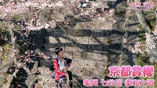 【京都賞櫻】2019・京都櫻花開花情報更新- 龜岡七谷川柔和之道 ...