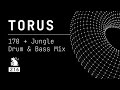 Torus  170  jungle drum  bass mix