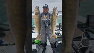 Must try walleye jigging technique #howto #catch #more #fish #fishing #fishingvideo #shorts