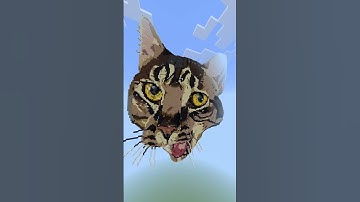 2 Awesome Cat Builds! #minecraft #minecraftbuild #cat