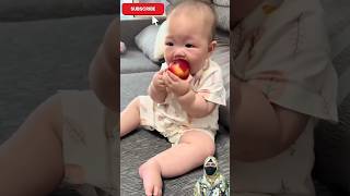 Viral Videos Trending Tiktok Whatsapp Status Comedy Funny Video