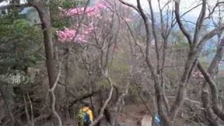 205 尾鈴山 レンジャー中城の登山日記
