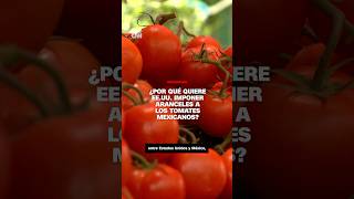 ¿Por qué quiere EE.UU. imponer aranceles a los tomates mexicanos?