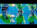 Snorkel Summer Camp with Pura Vida Divers: July Session