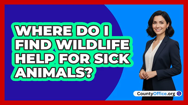Where Do I Find Wildlife Help For Sick Animals?