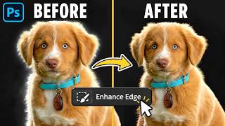 How to Cut Out Hair in Photoshop with NEW Enhance Edge