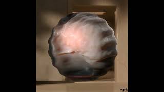 You can do this in BLENDER