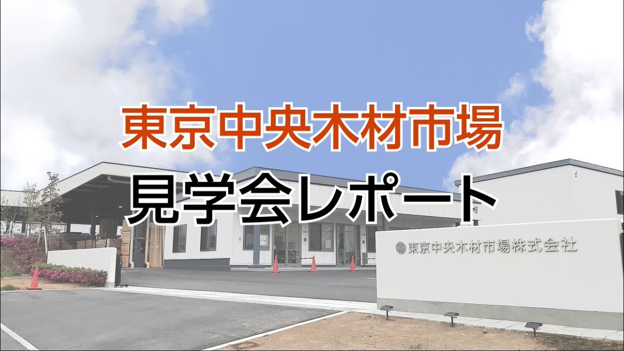 東京 中央 木材 市場