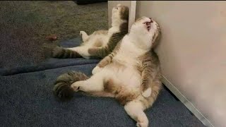 Aathi Namakum Idhey Nilamai Thanah?