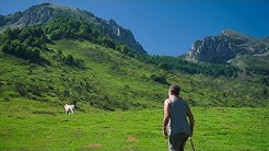 Éleveurs des Pyrénées - La Portera - Documentaire 2019