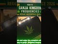 2026 Journey To The kingDom Of The Herb - MysticLeaf