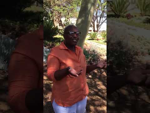 Using Finding Thabo
