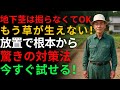 地下茎を掘り取らなくても草が生えない！驚きの根本的な地下茎対策法 | 除草剤 | グリーン農 | 芝生 | 雑草対策