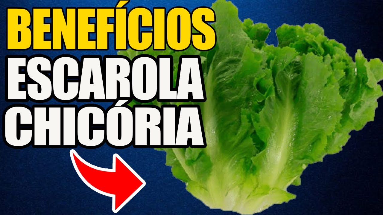Escarola e Chicória e seus Benefícios! Acompanha a tabela Nutricional ...