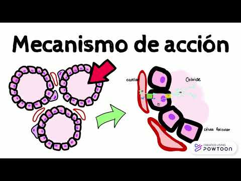 Vídeo: Diferencia Entre Yodo Y Yoduro