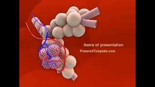 Alveoli PowerPoint Template by PoweredTemplate.com