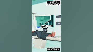 Unlocking the Mysteries of Memory: A Deep Dive into Neuroscience #shorts #shortvideo #short #viral